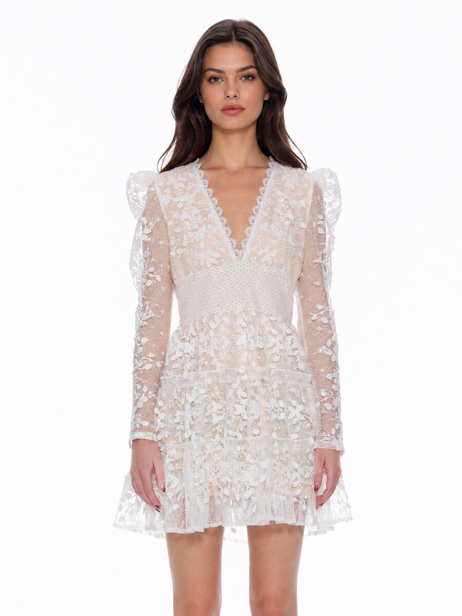 Flowery Embroidered Lace V-Neck Mesh Mini Dress - Demented Sisters