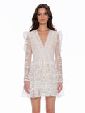 Flowery Embroidered Lace V-Neck Mesh Mini Dress - Demented Sisters