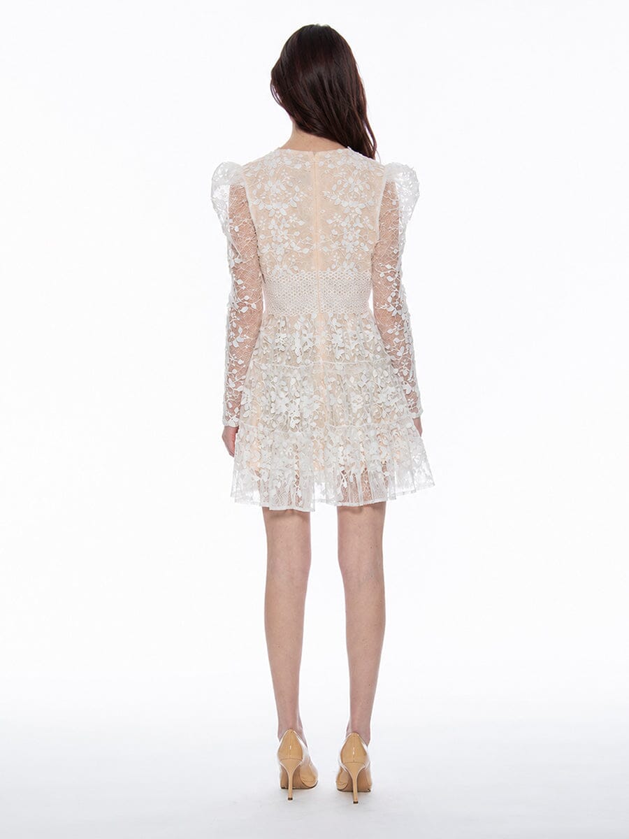 Flowery Embroidered Lace V-Neck Mesh Mini Dress - Demented Sisters