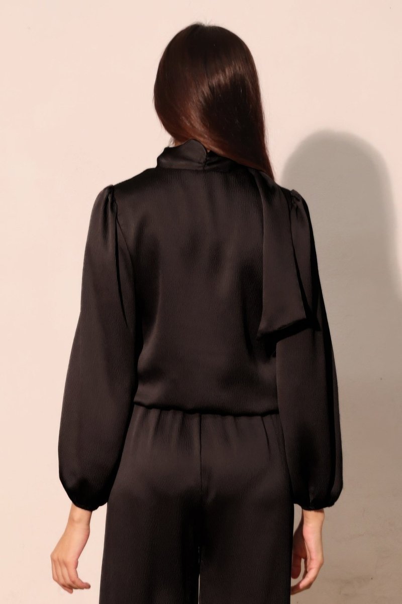 Hammered Satin Long Sleeve Crop Top - Demented Sisters